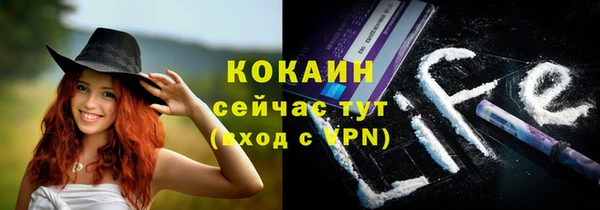 соль ск Алексеевка