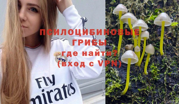 соль ск Алексеевка