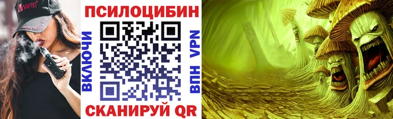 где купить   дарк нет как зайти  кракен ссылки  Галлюциногенные грибы MAGIC MUSHROOMS  Оленегорск 